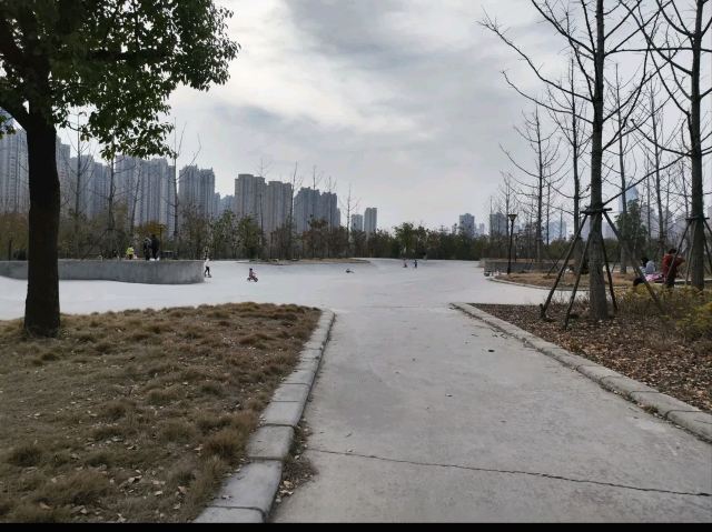 后湖公园旅行图片 1
