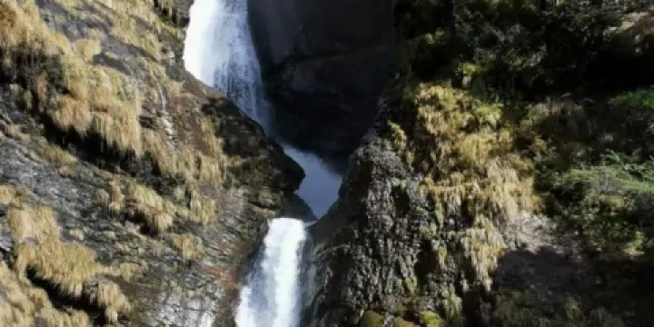 下亞東原始森林