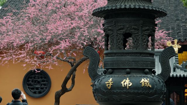 湖州铁佛寺旅行图片 14