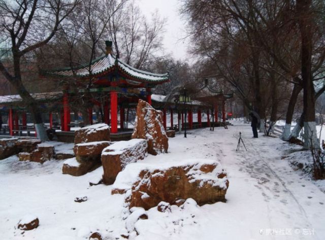 万泉公园旅行图片 1