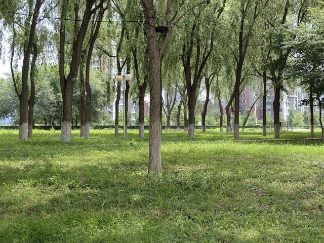 大凌河风景区旅行图片 2
