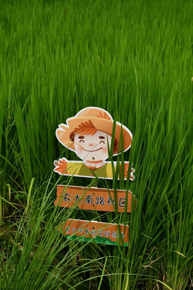 清河之洲旅行图片 7