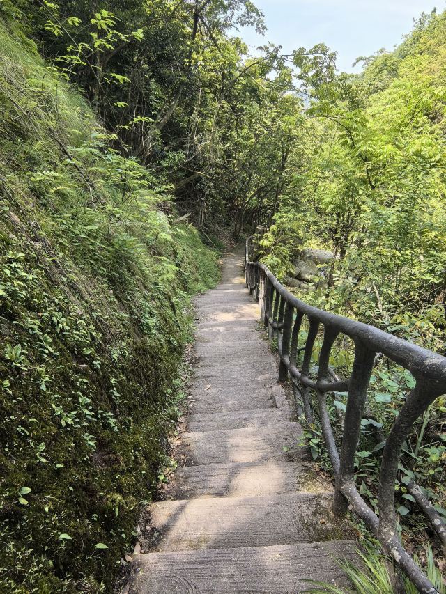 天岳幕阜山森林公园旅行图片 3