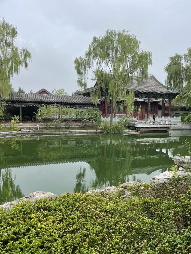 迎泽公园旅行图片 13