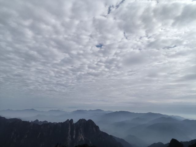 南昌珍奇植物园旅行图片 1