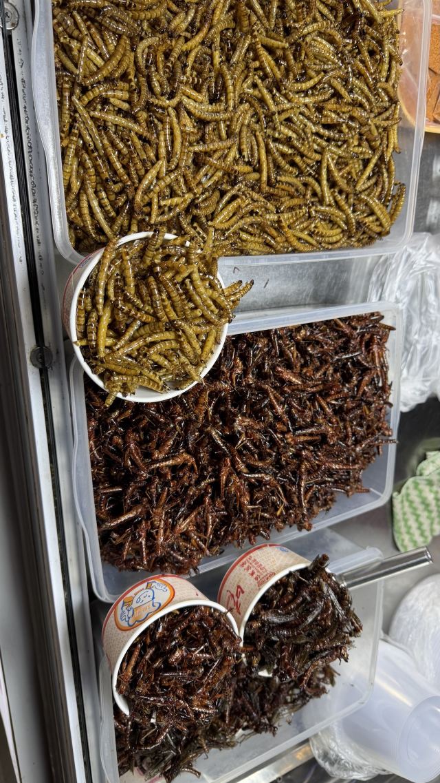 三馆广场旅行图片 3