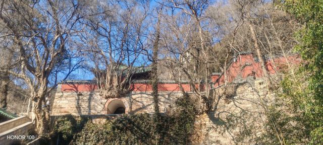 灵岩寺景区旅行图片 7