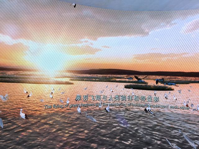 鄱阳湖国际湿地候鸟馆旅行图片 2