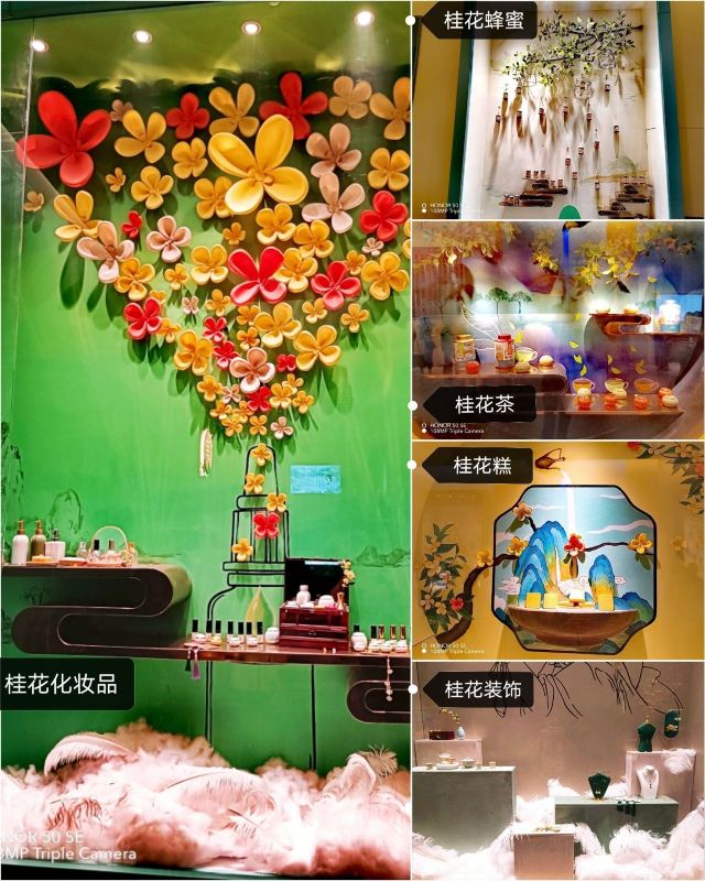 桂花公社景区旅行图片 11
