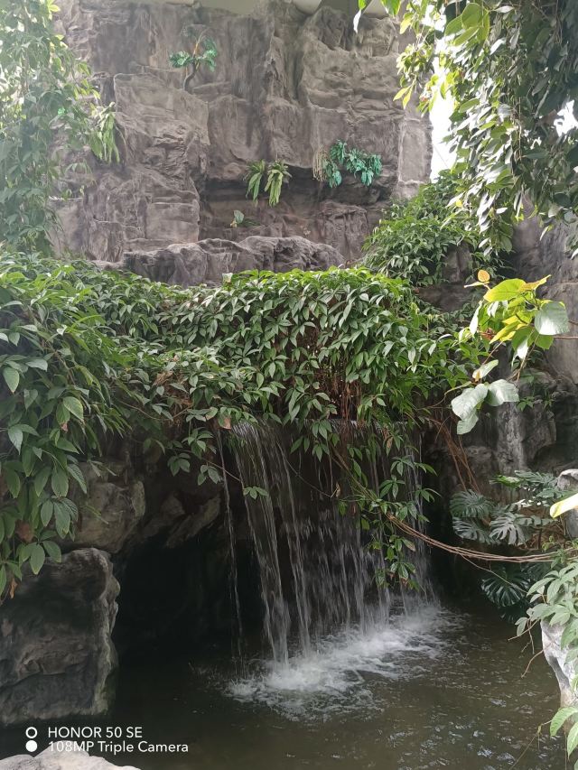 西安世博园旅行图片 3