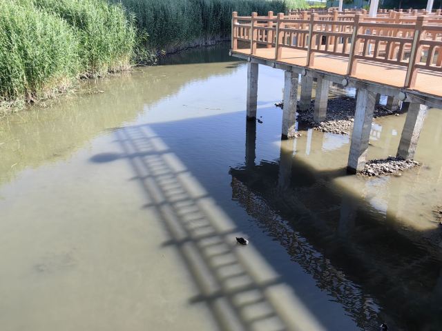 国家城市湿地公园旅行图片 4
