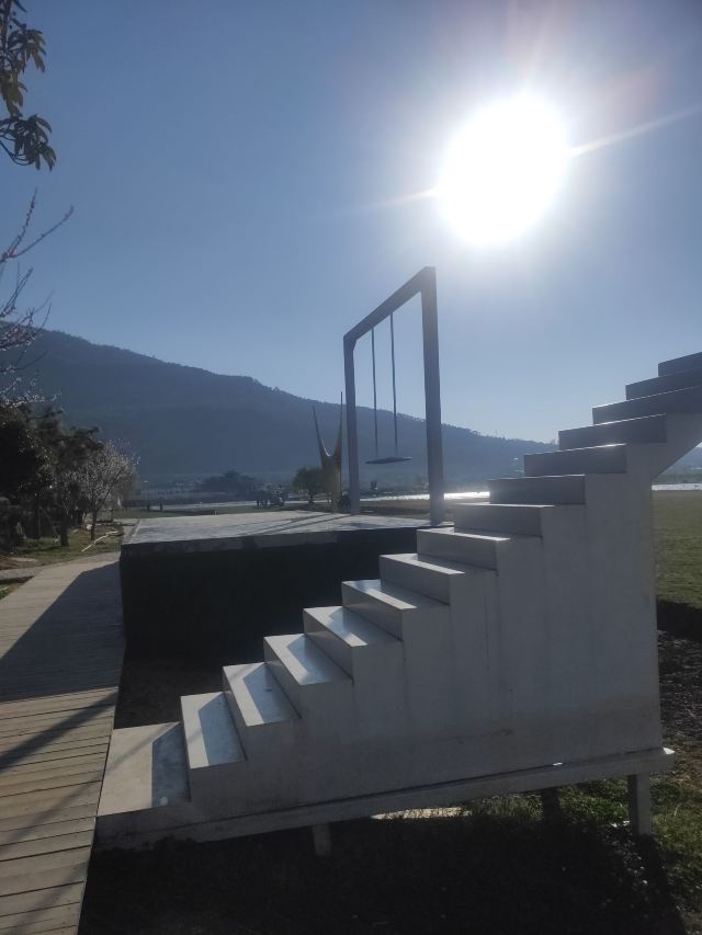 候鸟湾湿地旅行图片 5