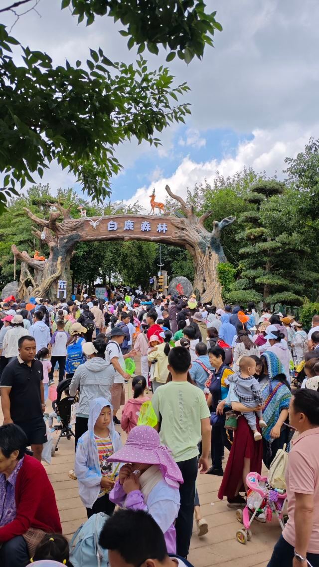 白鹿森林旅行图片 2