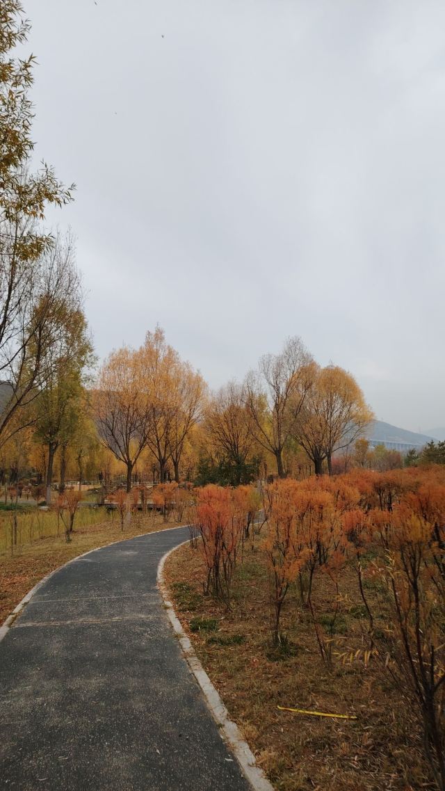 平安心湿地公园旅行图片 5