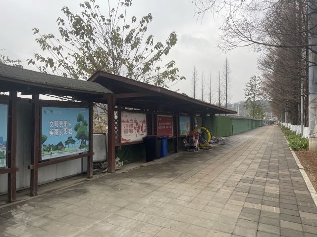 花溪湖旅行图片 1