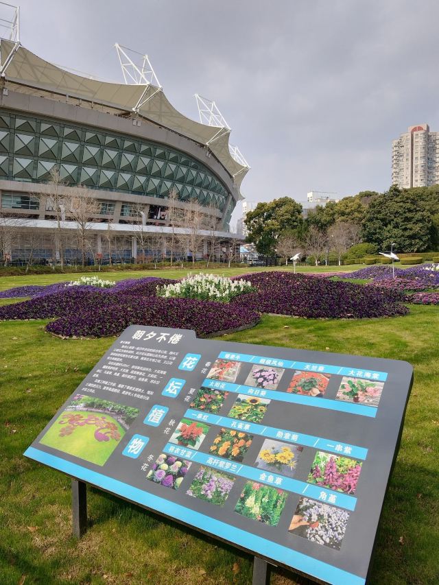 上海鲁迅公园旅行图片 1
