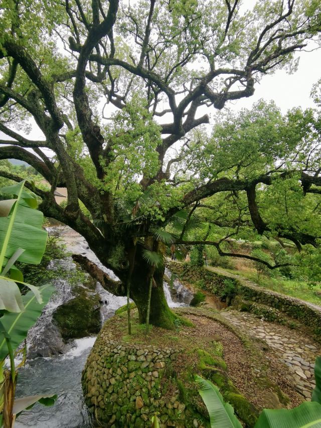 龙泉白云岩旅行图片 15