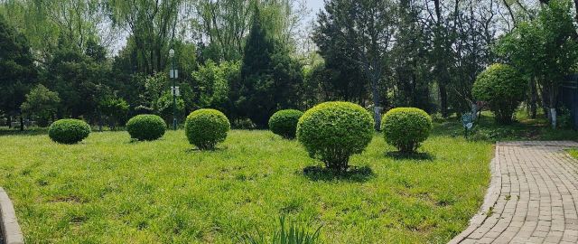 老山城市休闲公园旅行图片 6