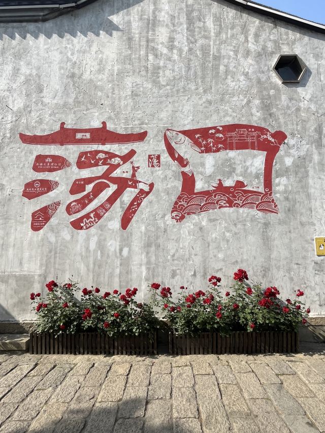 荡口古镇旅行图片 1