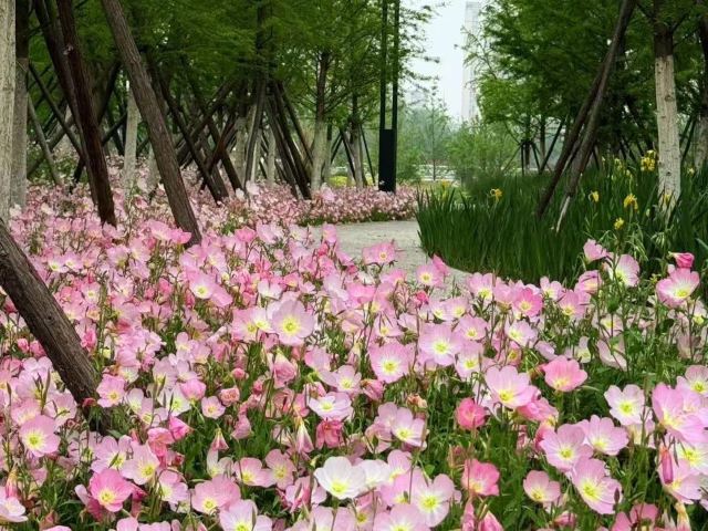 骆岗公园旅行图片 4