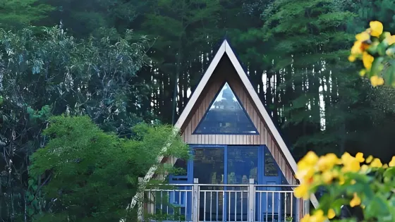 排牙山森林公園