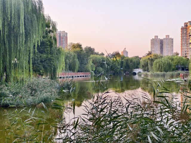 长安公园旅行图片 7