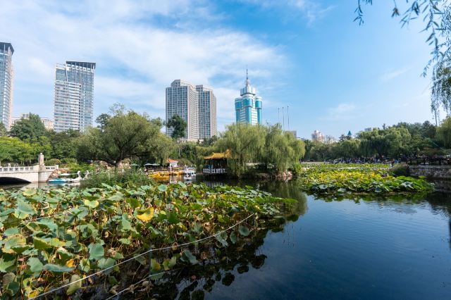 劳动公园旅行图片 1