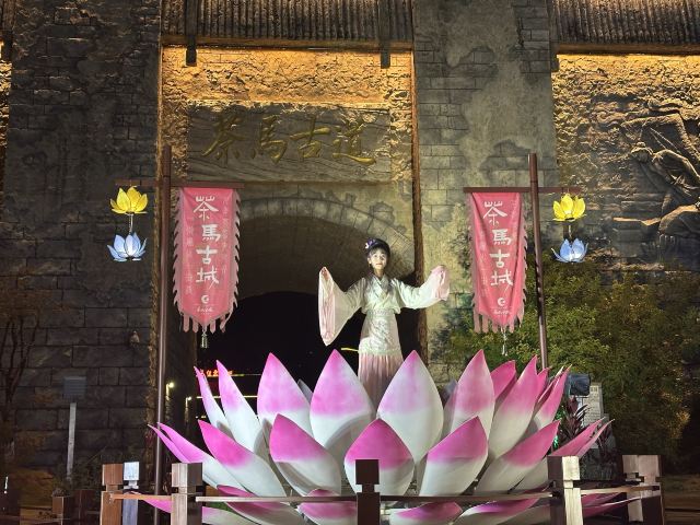 茶马古城旅游小镇旅行图片 1