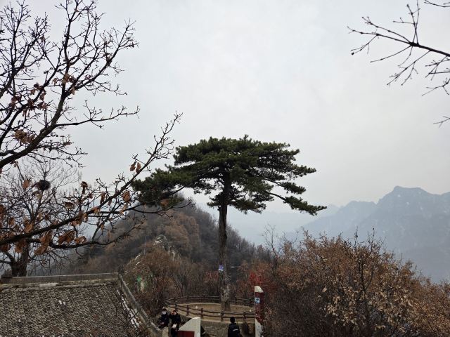 中国秦岭终南山世界地质公园旅行图片 1