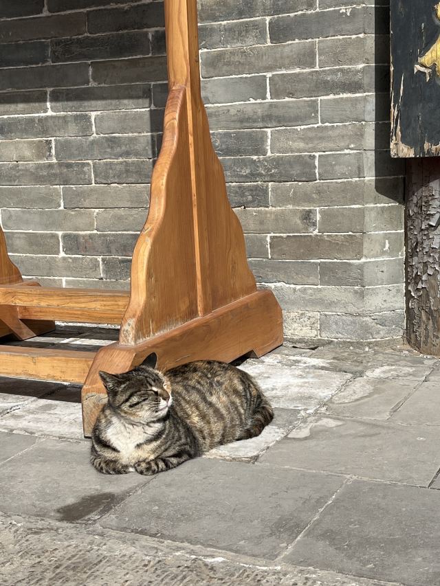 净土寺旅行图片 5