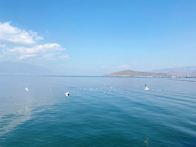 小普陀旅行图片 4