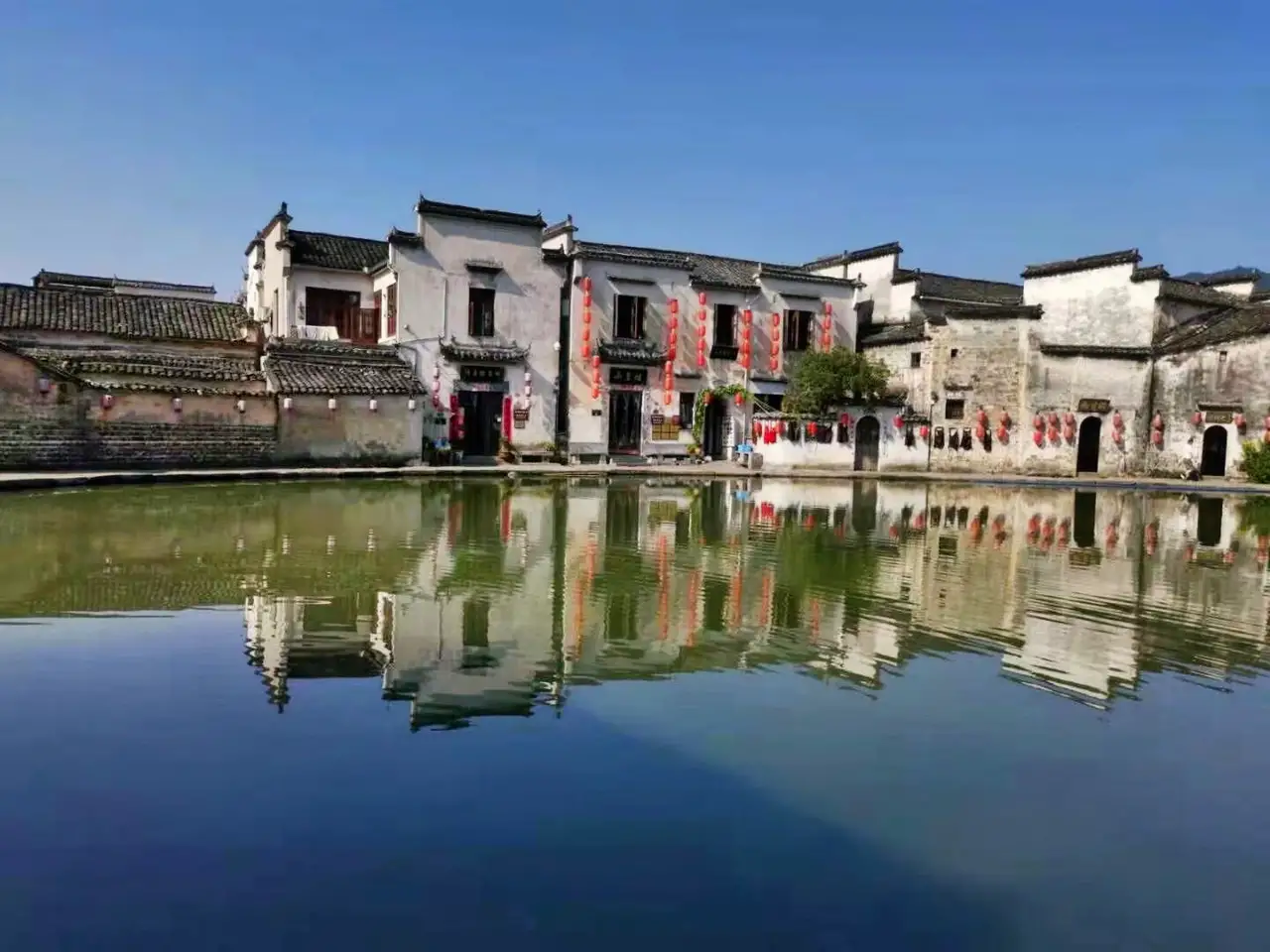 安徽金寨望春谷-金寨-亲亲股太乐