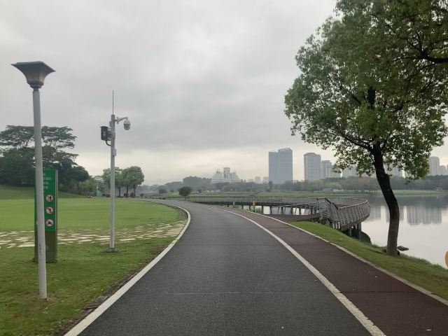 碧湖生态公园旅行图片 1