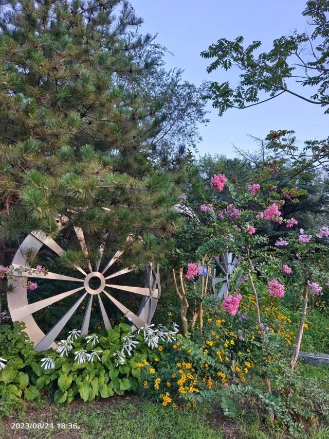 老山城市休闲公园旅行图片 7