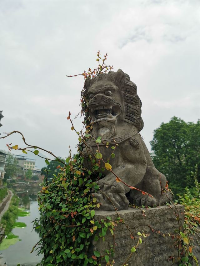 大圩古镇旅行图片 10