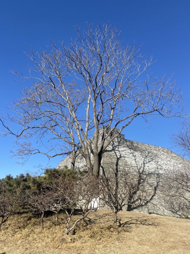 北京明城墙遗址公园旅行图片 1