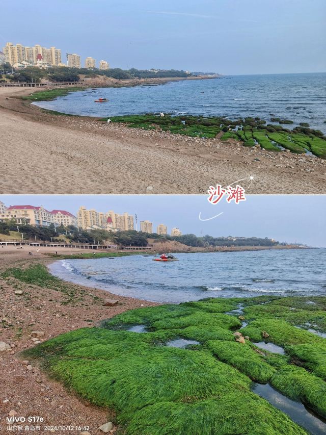 海边嘟比熊游乐园旅行图片 14