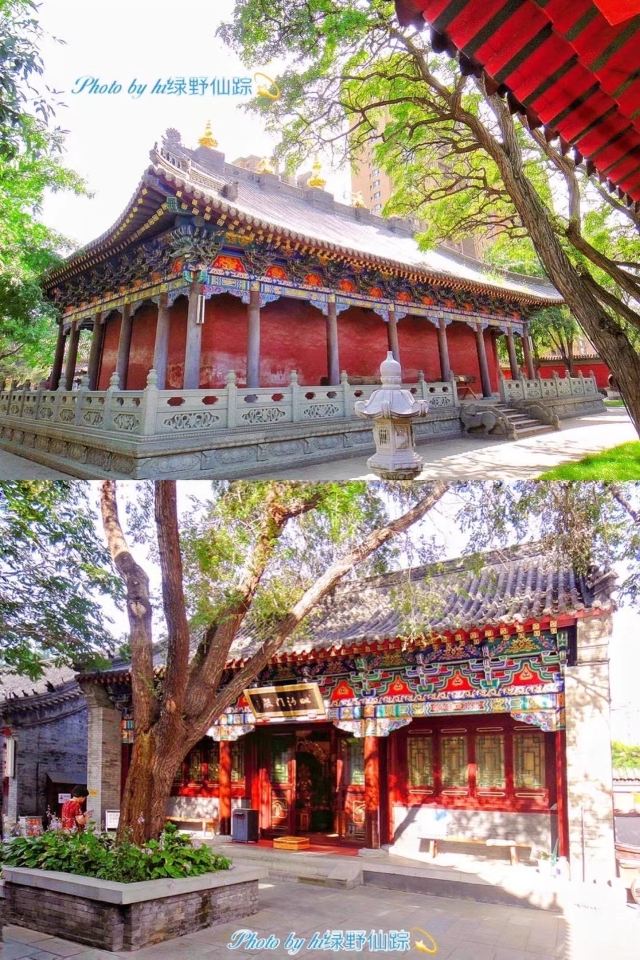皇姑北塔公园旅行图片 7