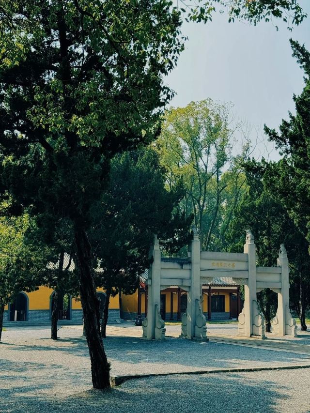 辽王墓旅行图片 3