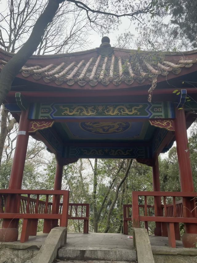 花溪公园旅行图片 1