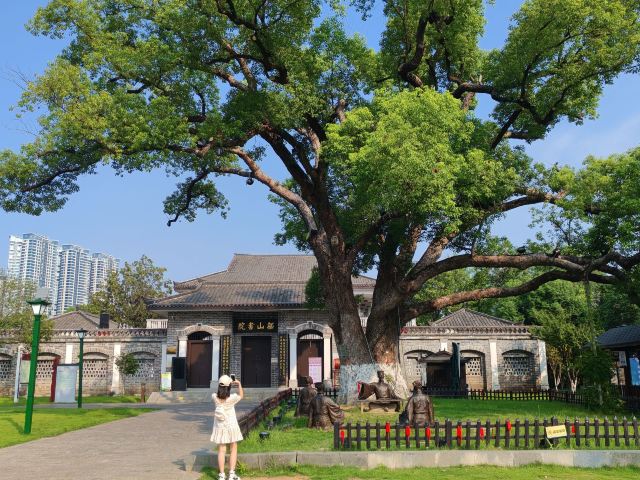 东洲岛旅行图片 7