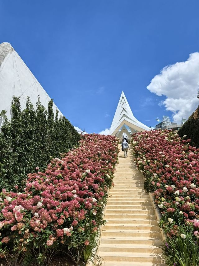 理想的花园旅行图片 2