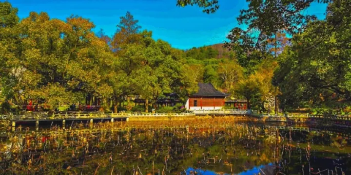 馬鞍山森林公園