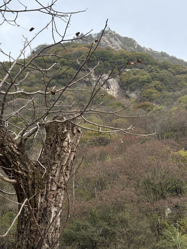 陕西省红河谷森林公园旅行图片 1