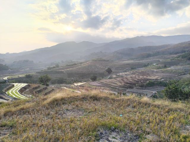 牙胡梯田景区旅行图片 3