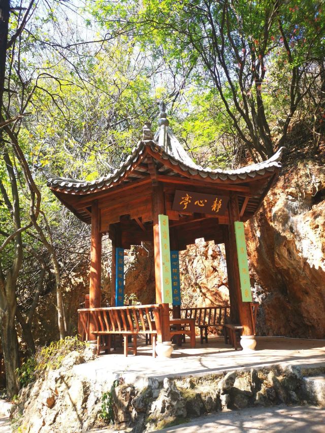 界鱼石公园旅行图片 1