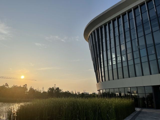 九棵树艺术公园旅行图片 1
