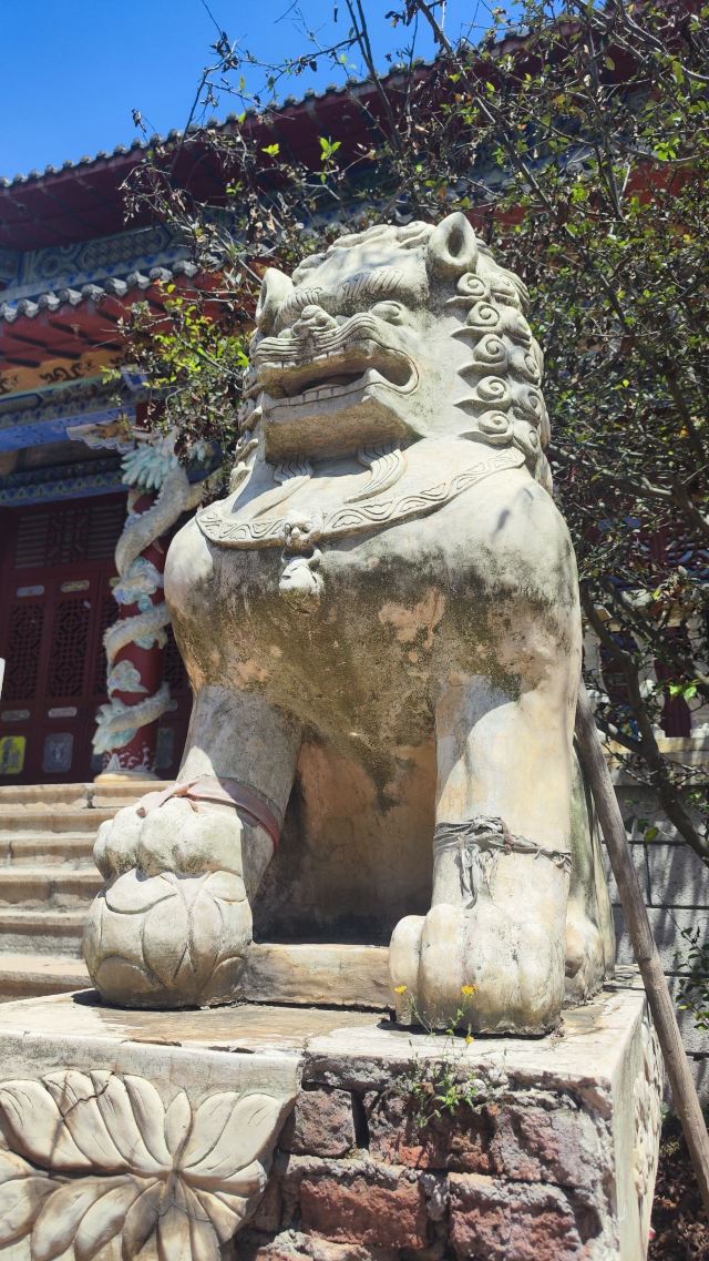 白云观旅行图片 6
