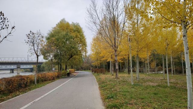 平安心湿地公园旅行图片 12