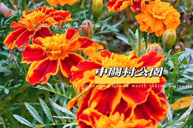 中关村公园旅行图片 2